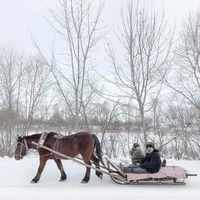Превью 2021-02-15