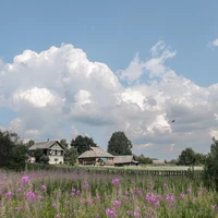 Превью 2021-08-12