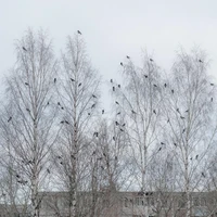 Превью 2022-01-06