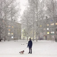 Превью 2022-12-10