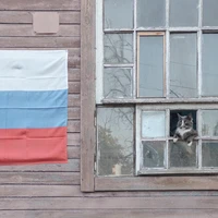 Превью 2023-07-15