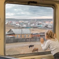 Превью 2023-11-07